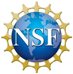 NSF_4-Color_bitmap_Logo (1)